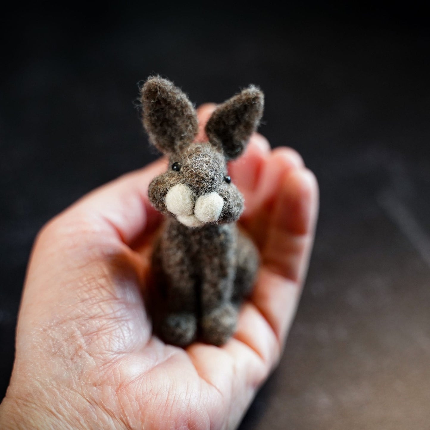 Needle Felting Kits